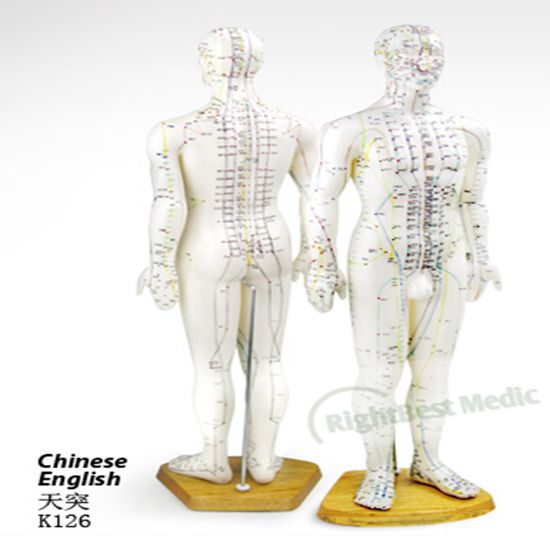 60CM Male Human body Acupuncture Points Model