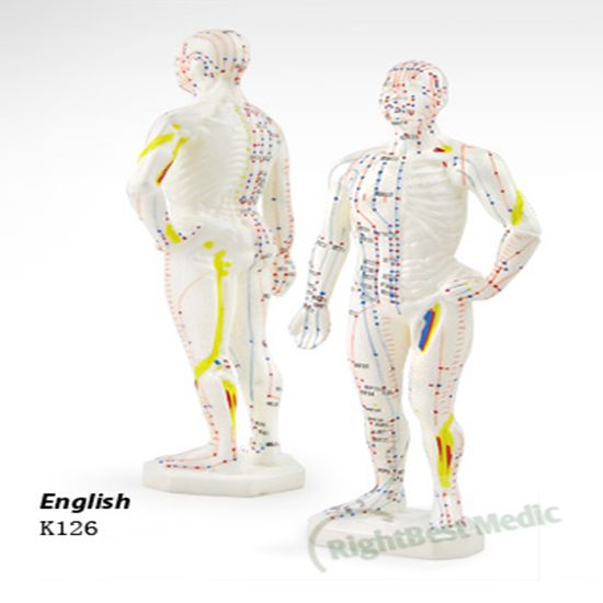 26CM Male Human Body Acupuncture Point Model